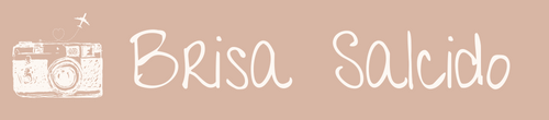 Brisa blog logo